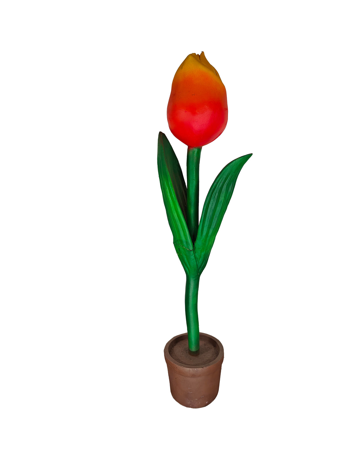 Giant Tulip