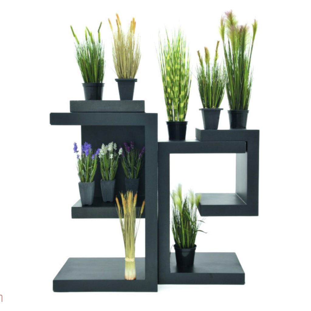 Moor-grass in pot