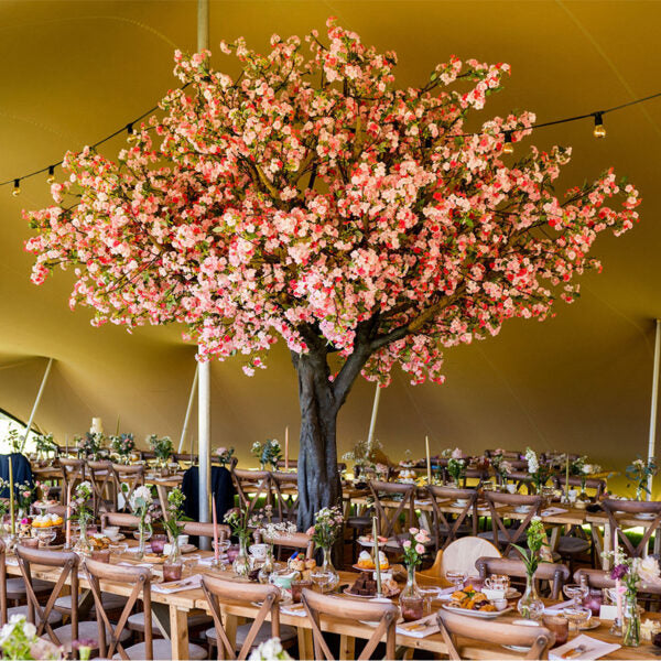 Pink Cherry Tree